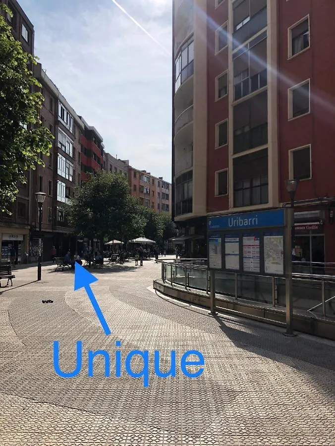 Unique Bilbao Apartment